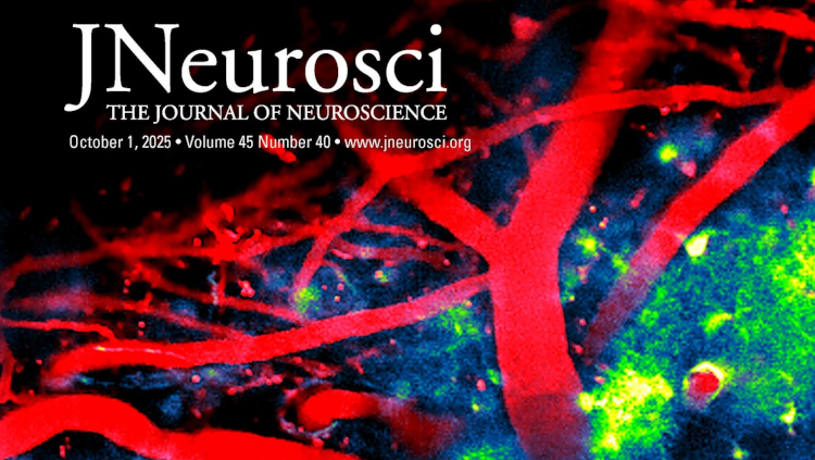Cover of JNeuro