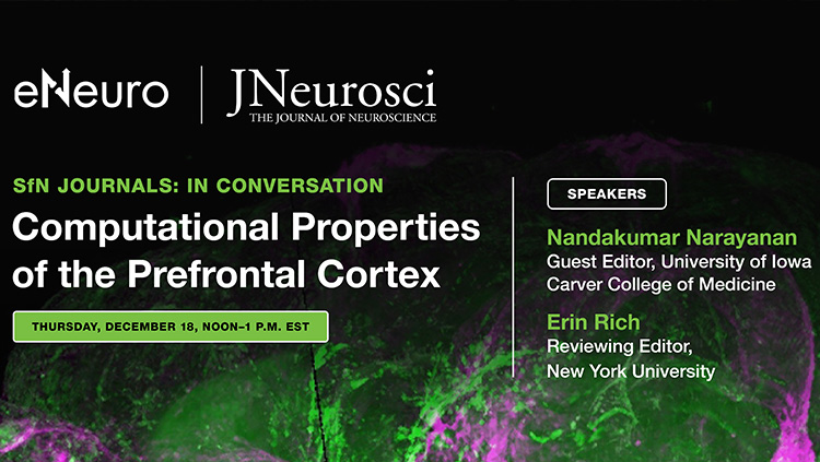 SfN Journals: In Conversation webinar thumbnail