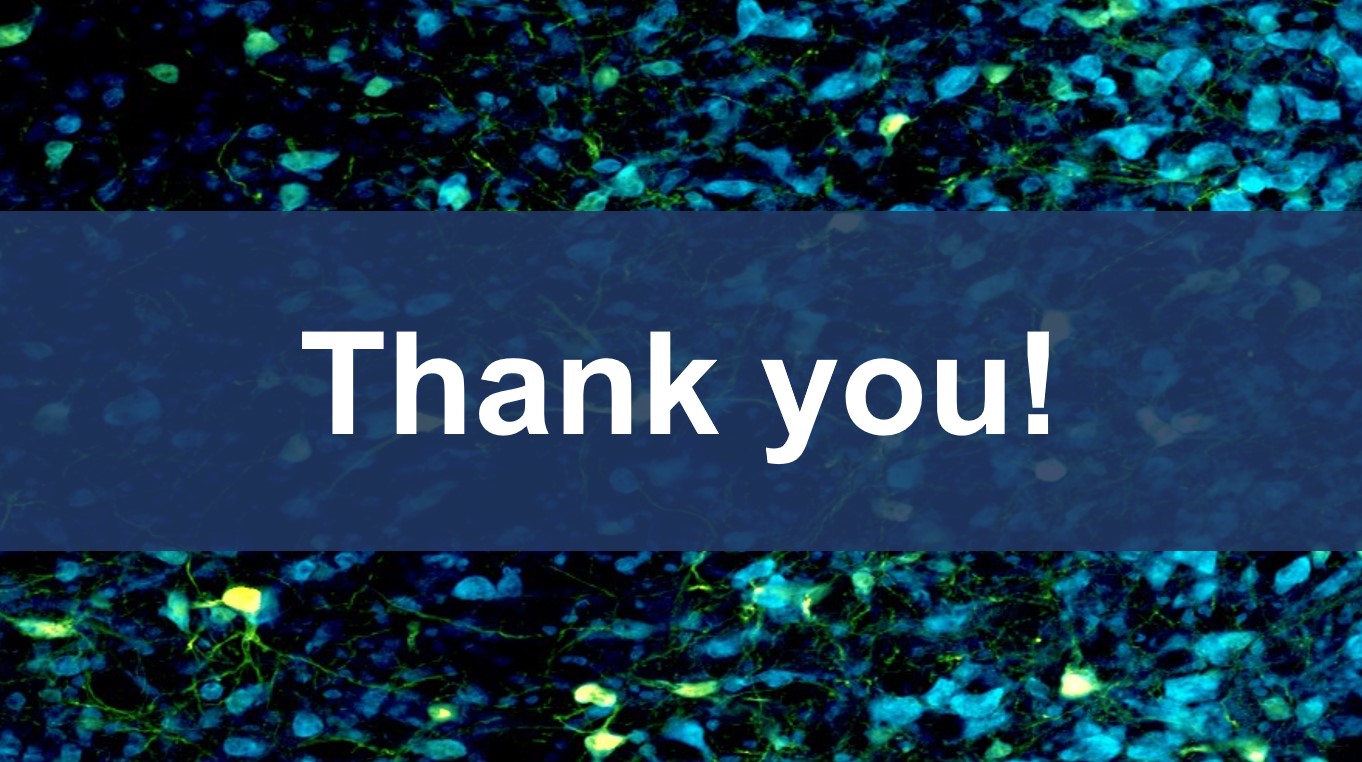 Scientific microscopy image with Thank You text overlayed