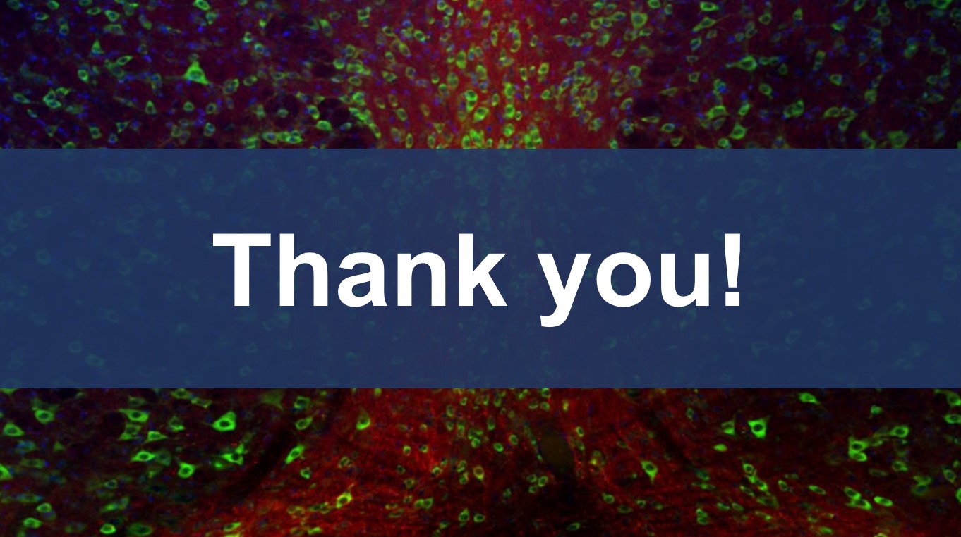 Scientific microscopy image with Thank You text overlayed