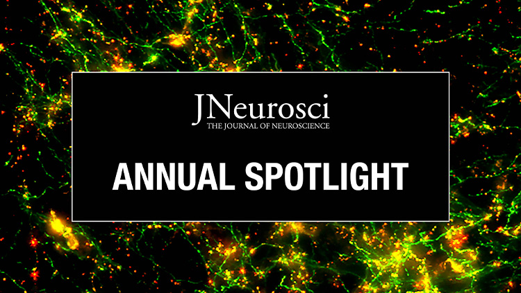 JNeurosci Annual Spotlight thumbnail