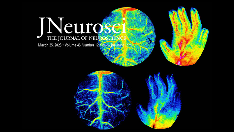 JN thumbnail with Volume 46 featured