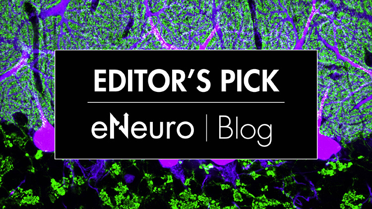 eN thumbnail with neuro graphics in the background