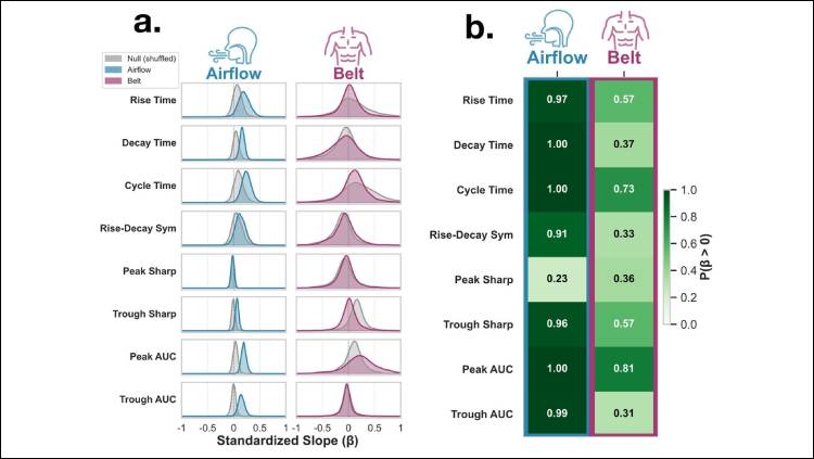 Researchers compared the shapes of brain waves to the complex, variable shapes that individual human breaths create