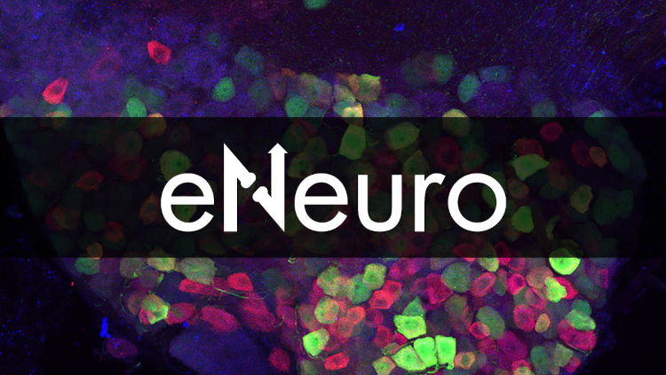 eNeuro logo