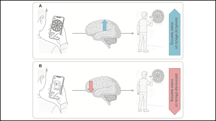 eNeuro homepage card