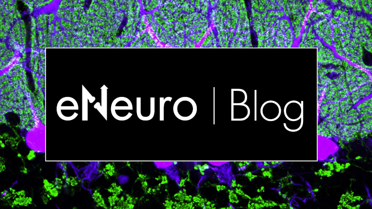 eNeuro blog logo