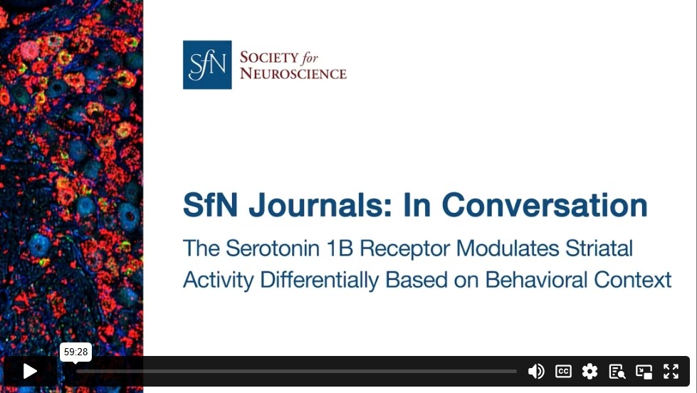 Thumbnail of a webinar