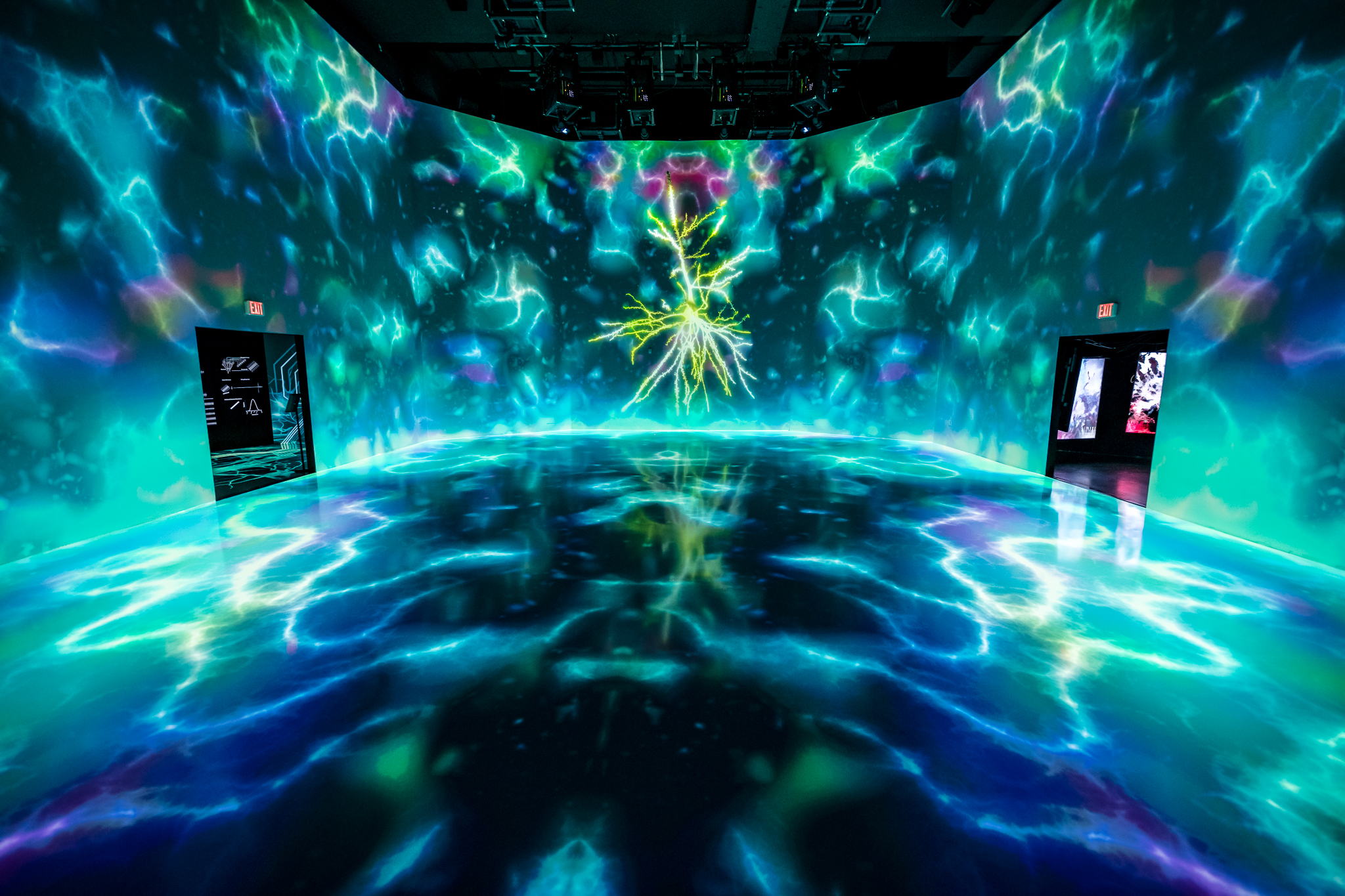 Image of the main exhibit of the SfN ARTECHOUSE collaboration in Washington D.C.