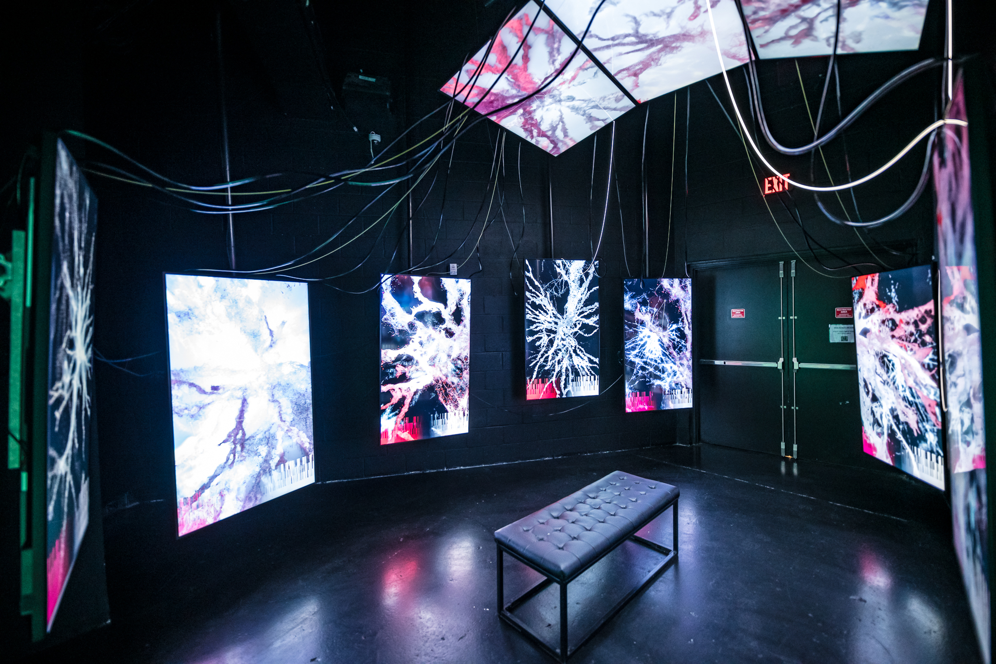 Image of a side exhibit from the SfN ARTECOUSE collaboration that depicts a brain when using drugs.
