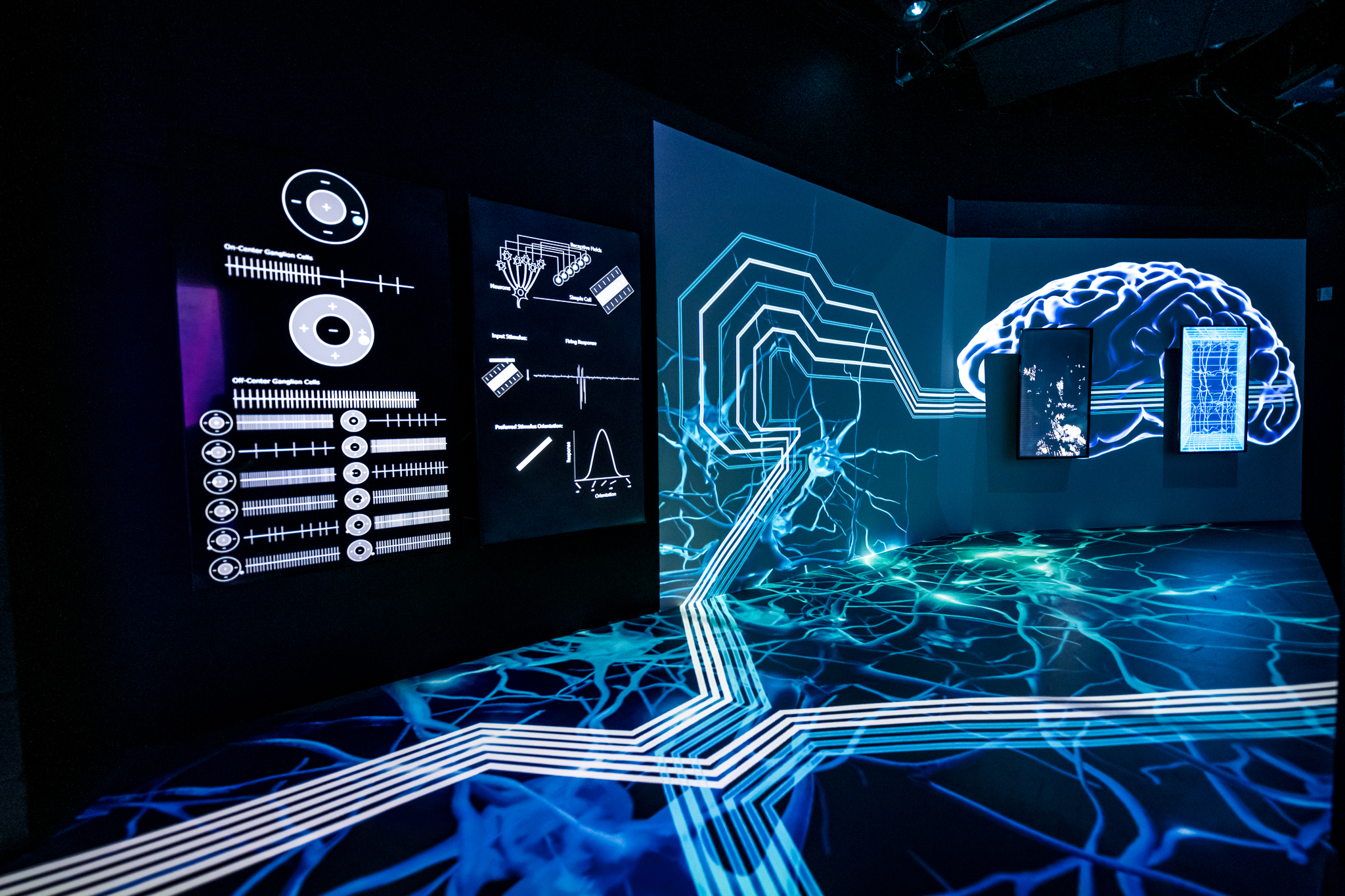 Image of an exhibit at ARTECHOUSE that depicts the process of vision.