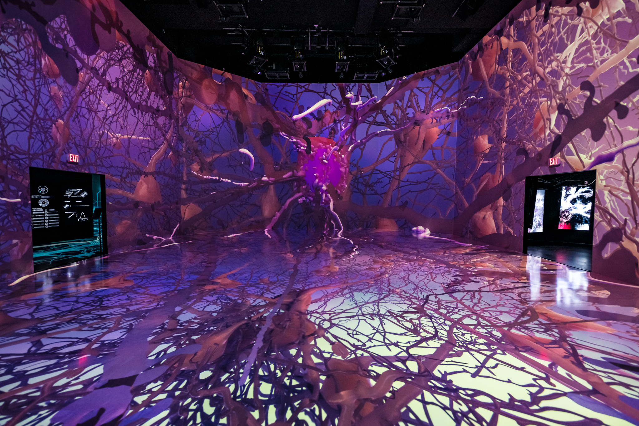 Image of the main exhibit of the SfN ARTECHOUSE collaboration in Washington D.C.