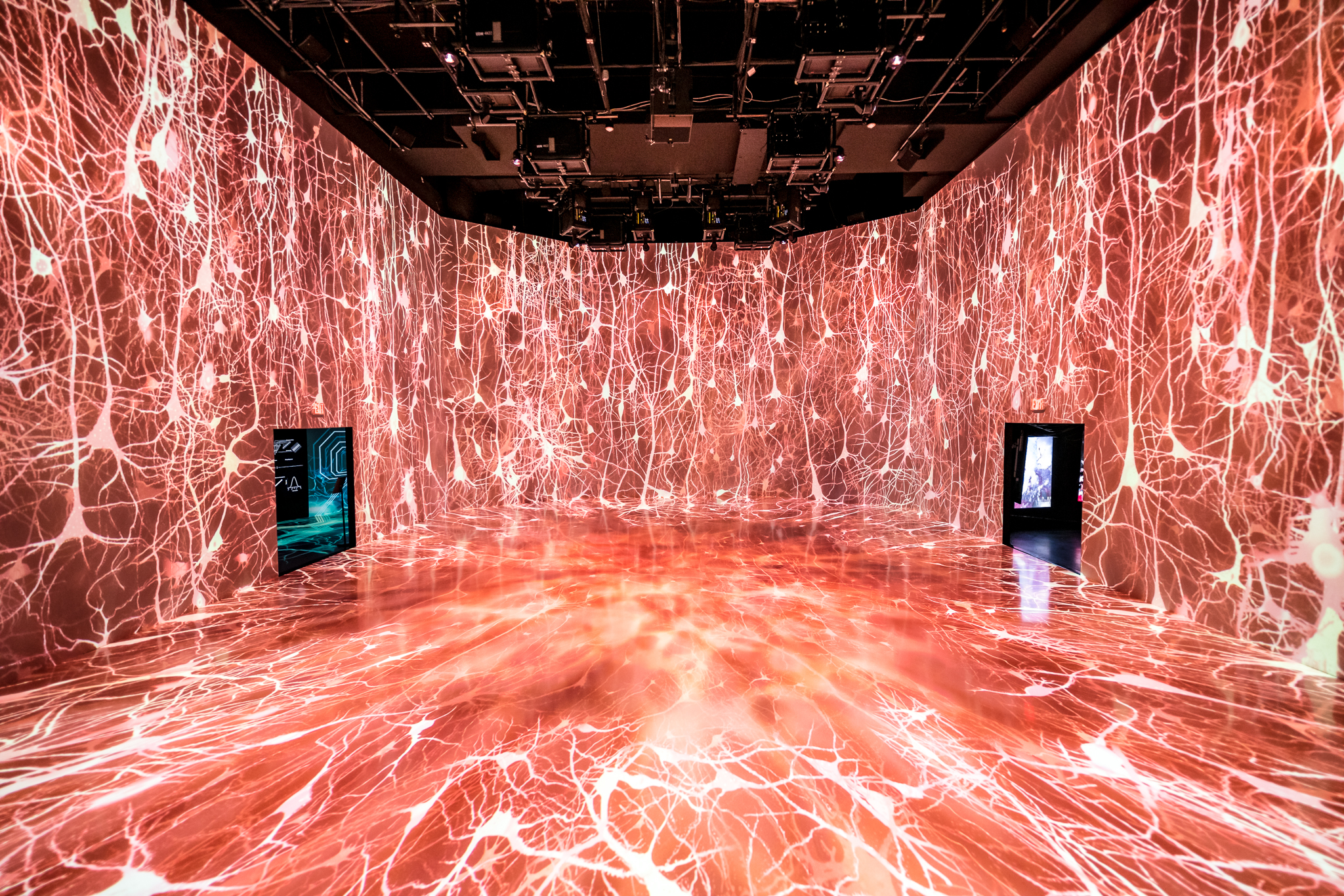 Image of an exhibit at ARTECHOUSE that depicts the process of vision.