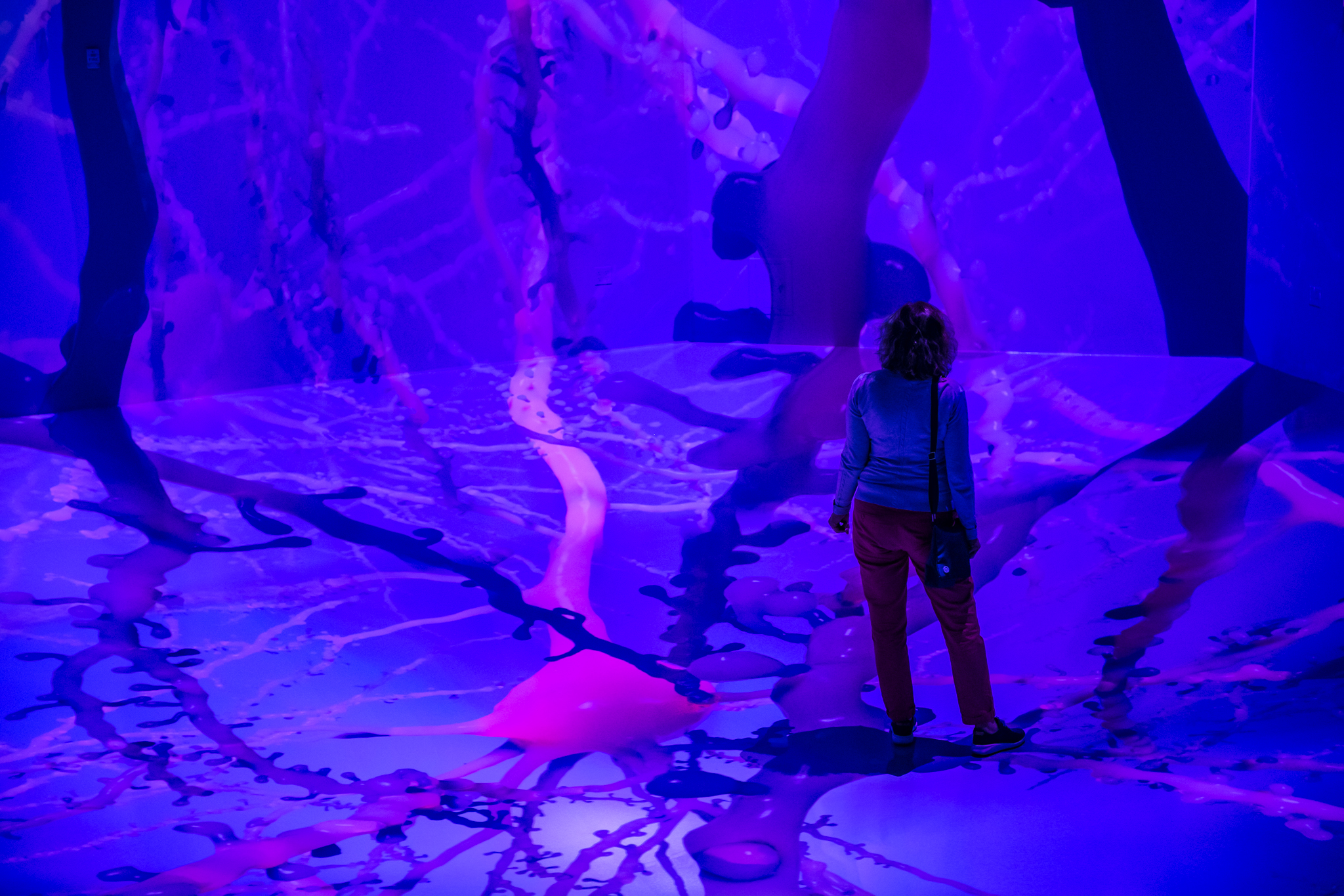 A person observing the main display during at the SfN and ARTECHOUSE collaboration, Life of a Neuron.