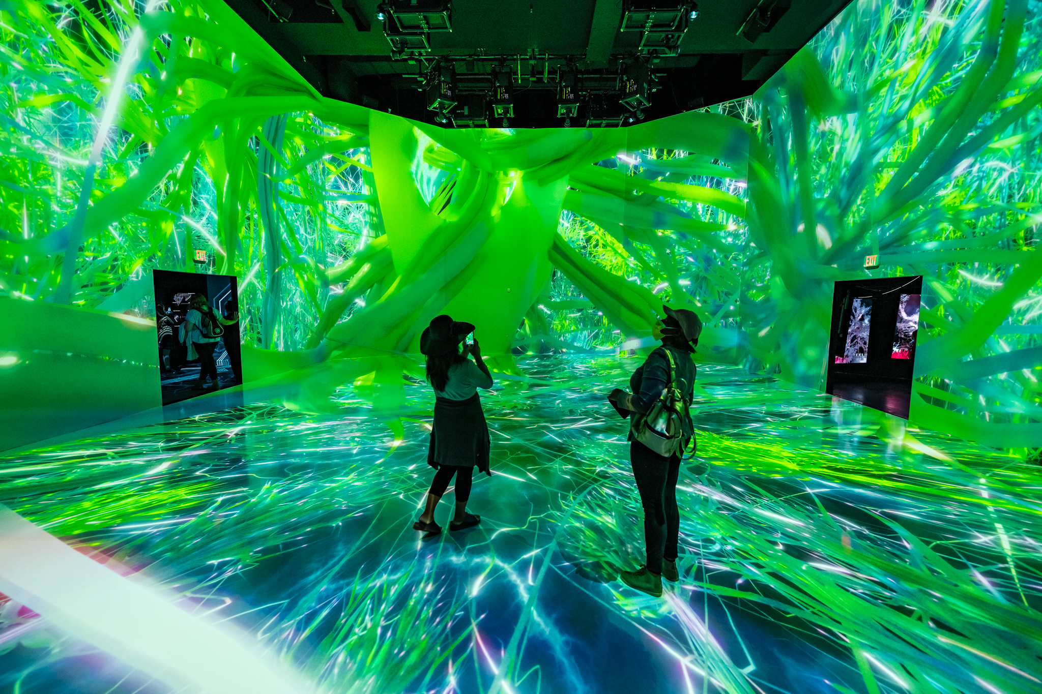 An image of two women observing the main display at the life of a Neuron exhibit from the SfN and ARTECHOUSE collaboration.