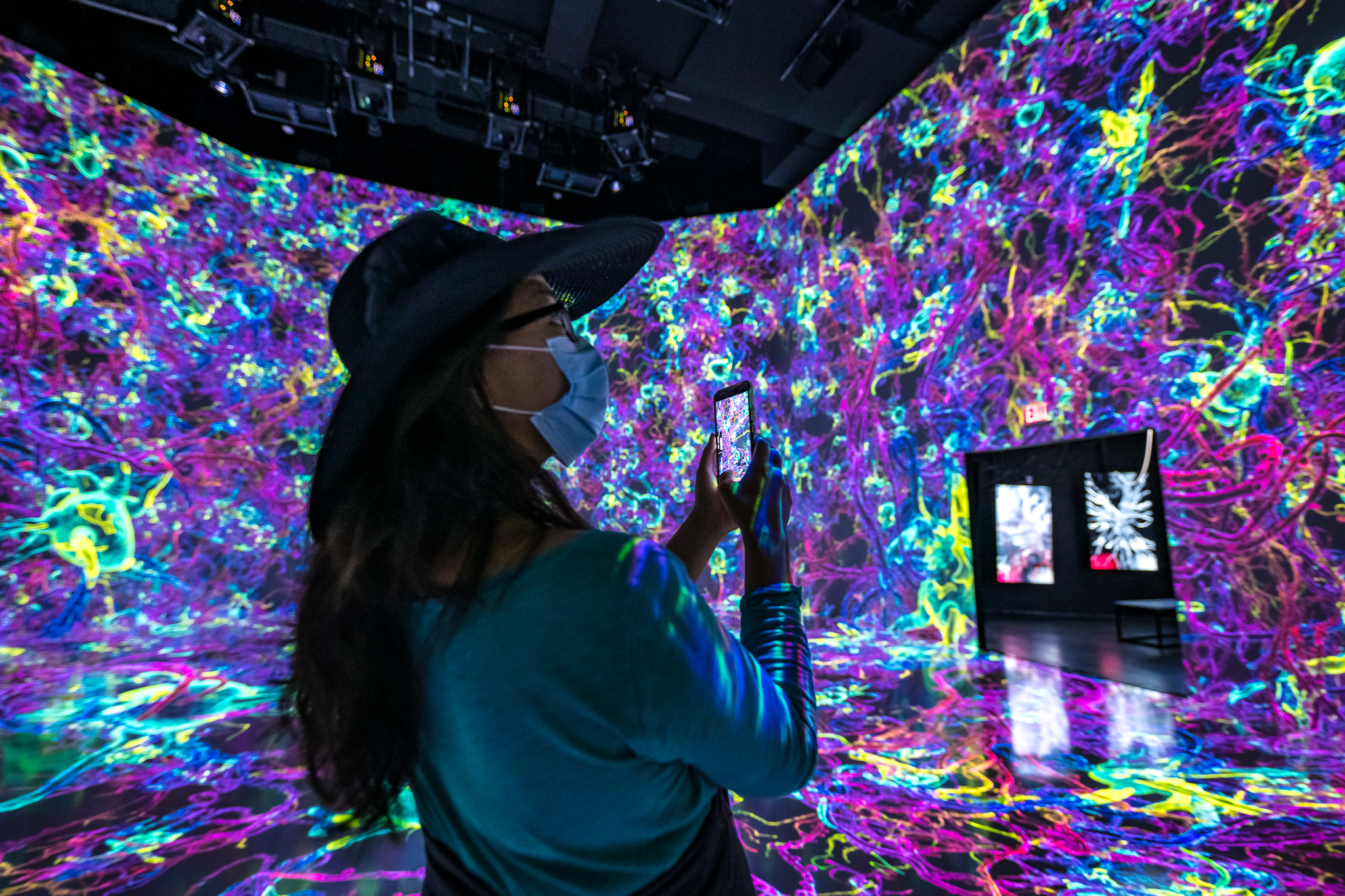 An image of a woman observing the main display at the life of a Neuron exhibit from the SfN and ARTECHOUSE collaboration.