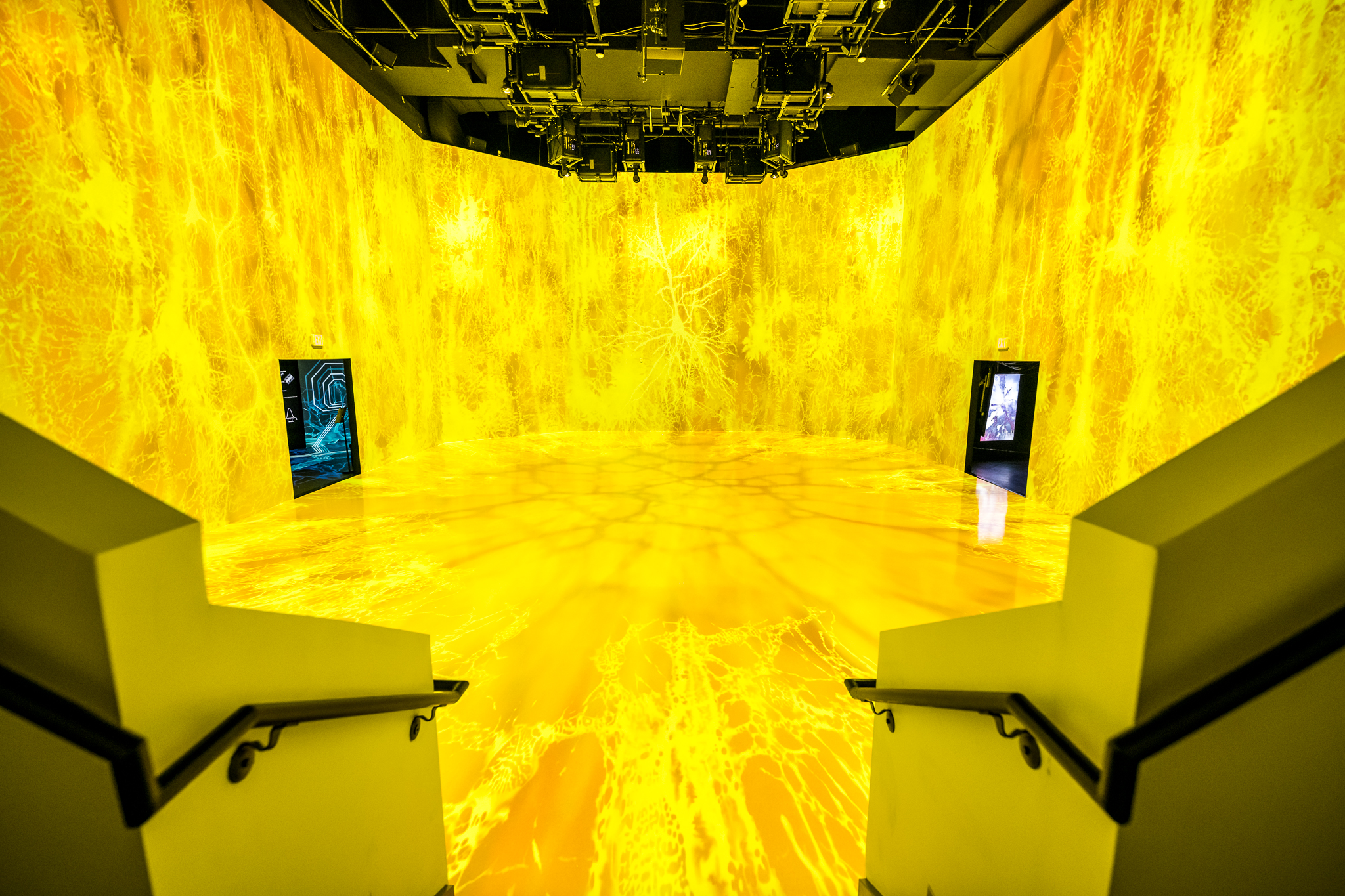 Image of the main display of the ARTECHOUSE life of a neuron exhibit from the entrance stairway.