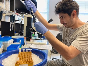 Mehmet "Neset" Ozel, PhD (left), of New York University,