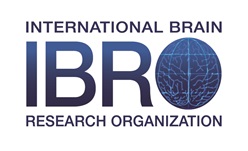 IBRO logo