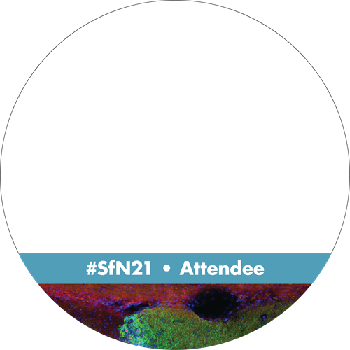 Neuroscience 2021 Profile Cover Image
