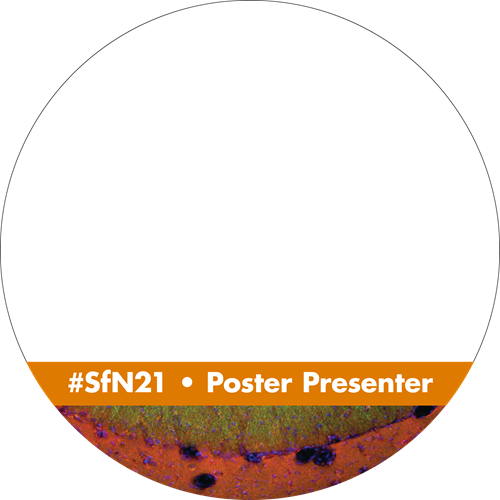 Neuroscience 2021 Profile Cover Image for Poster Presenters