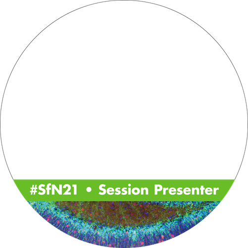 Neuroscience 2021 Profile Cover Image for Session Presenters