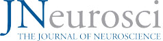 JNeurosci