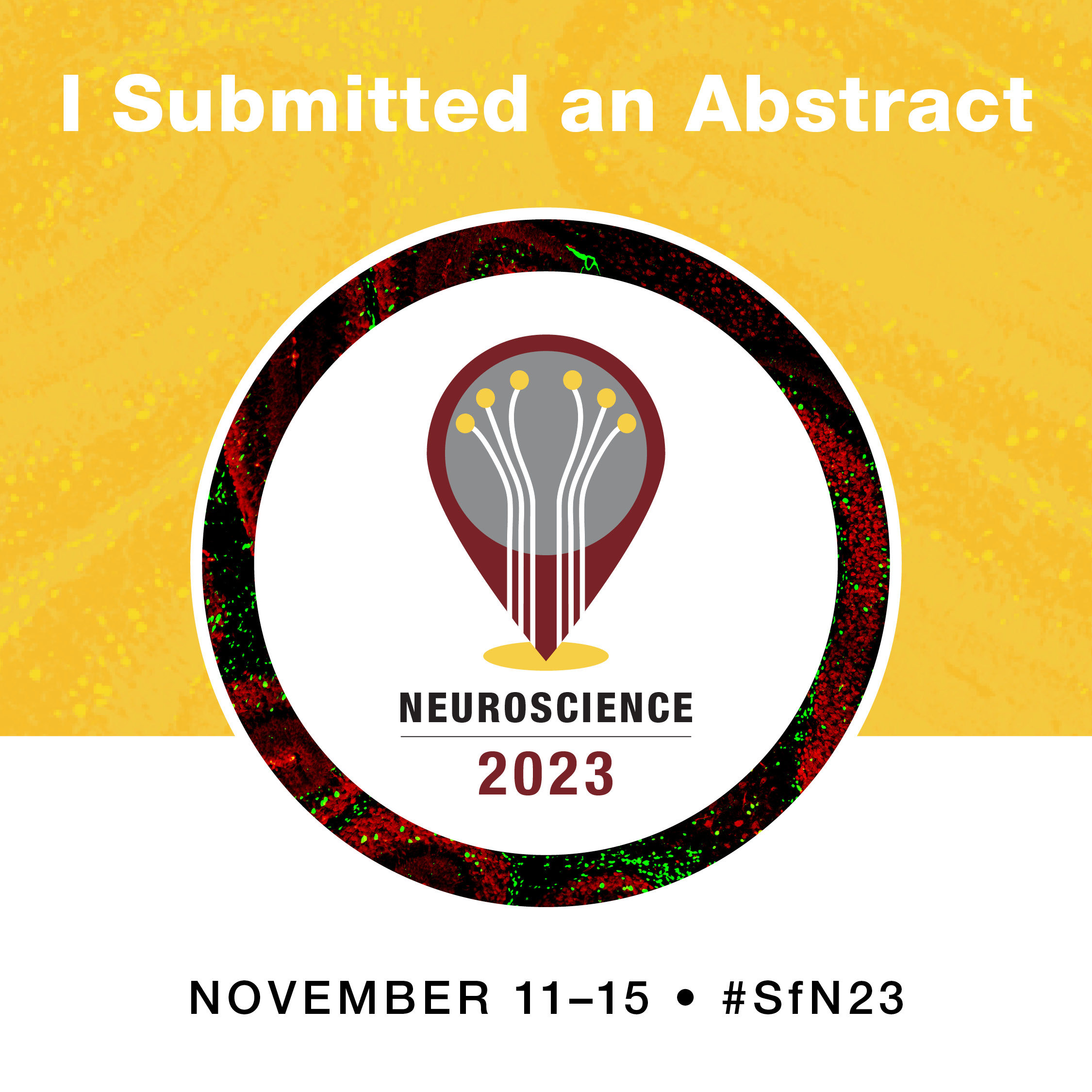 Image that says "I submitted an abstract" with the Neuroscience 2023 logo.