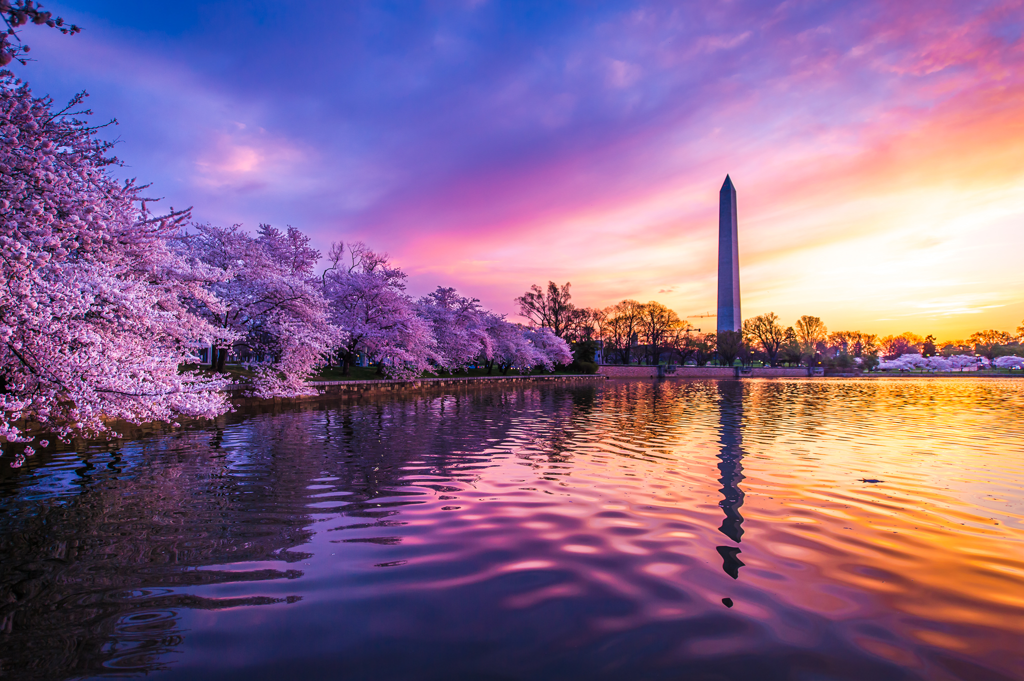 Neuroscience 2023 in Washington, DC
