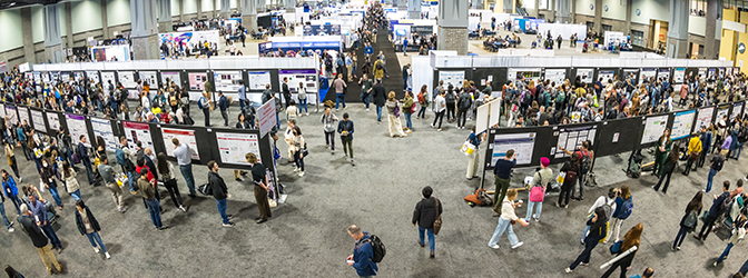 Poster floor at Neuroscience 2023