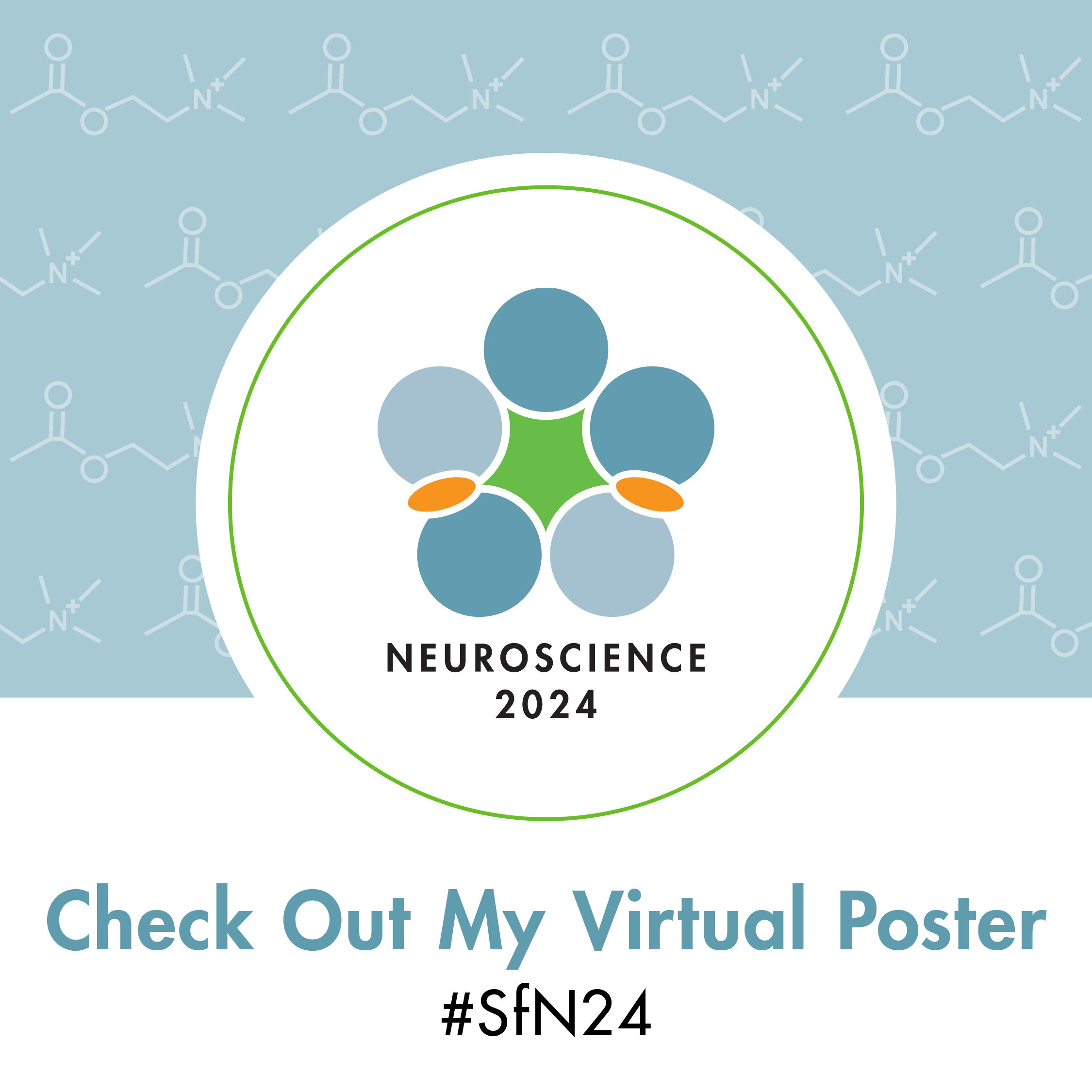Graphic with Neuroscience 2024 logo and the words Check Out My Virtual Poster #SfN24