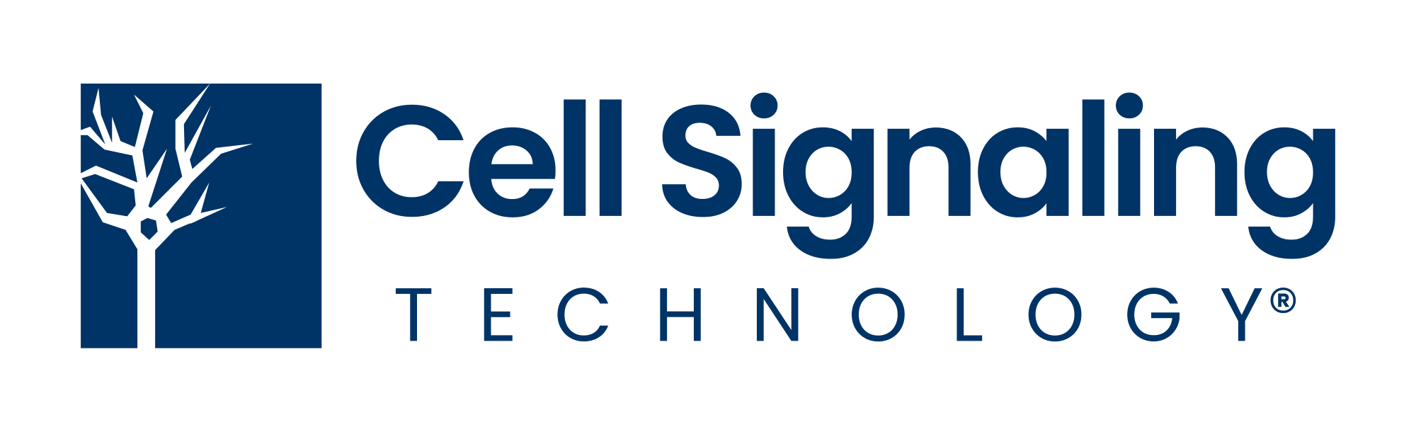 Cell Signaling Technology