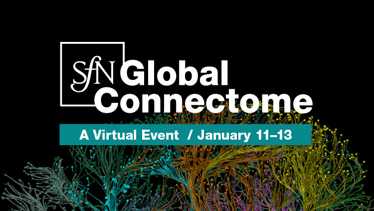 SfN Global Connectme: A Virtual Event logo on scientific image; January 11-13