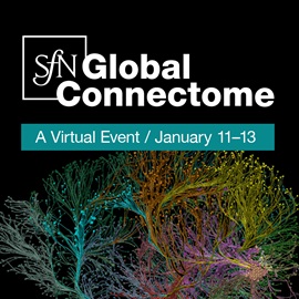 SfN Global Connectome logo for sharing on Instagram