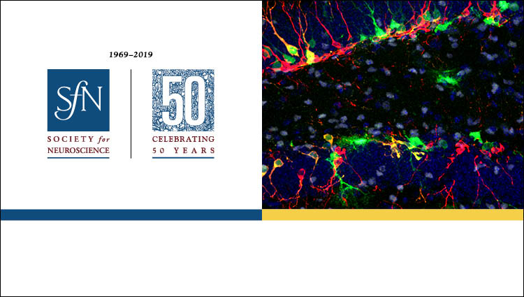 generic science image and SfN 50th Anniversary logo