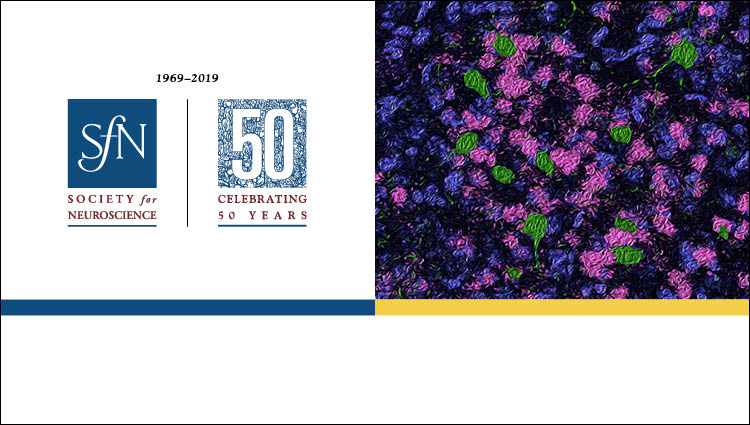 generic science image and SfN 50th Anniversary logo