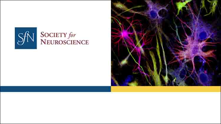 generic science image and SfN logo