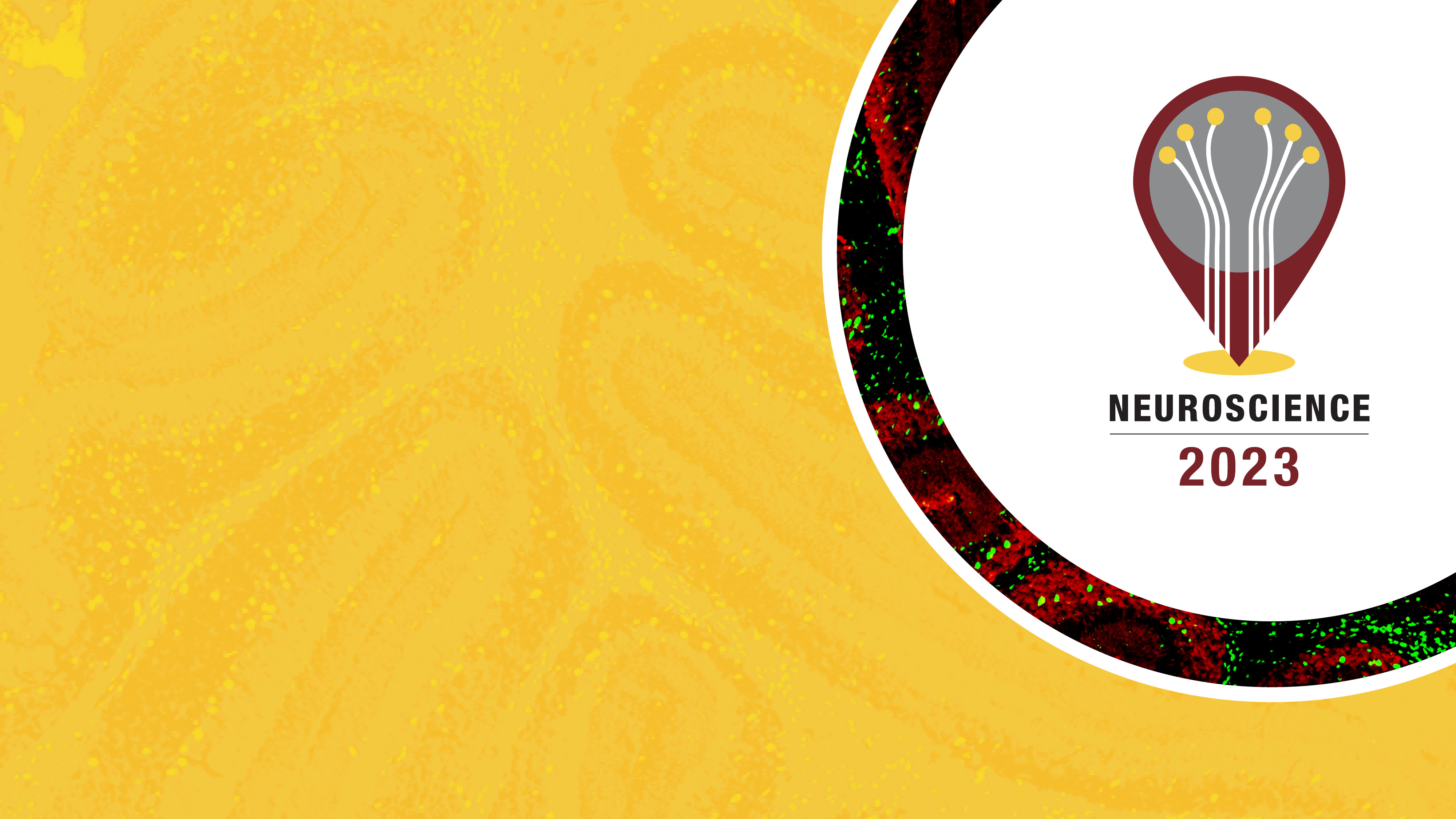 Society for Neuroscience Zoom Backgrounds