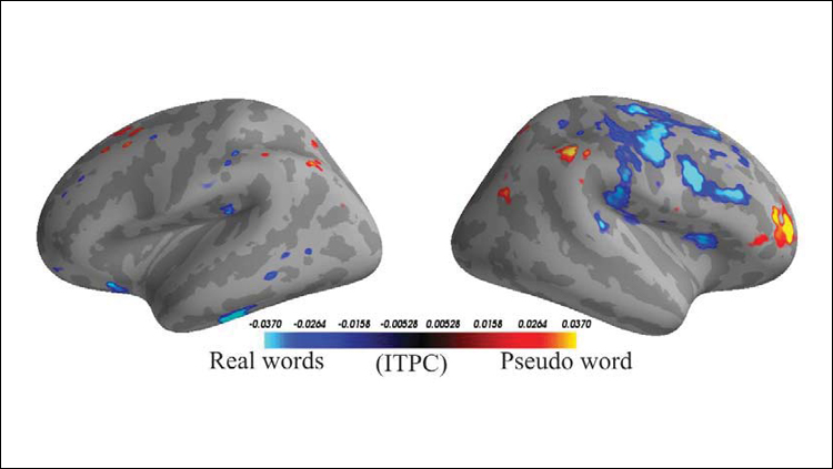 Machine Learning Classifies Word Type Based on Brain Activity