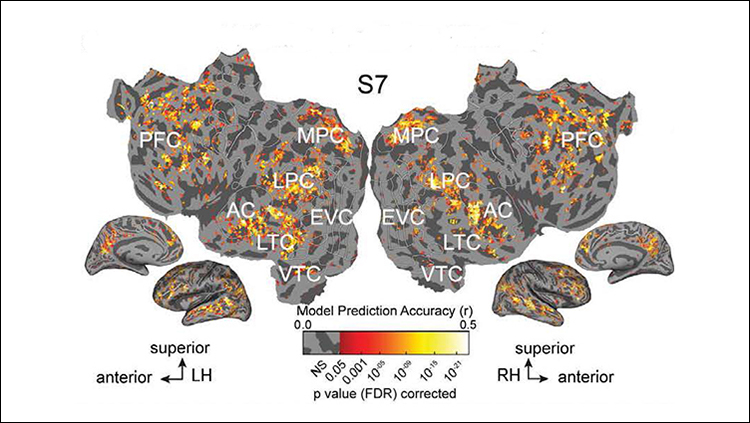 Nearly Identical Representations of Spoken, Written Words in the Brain