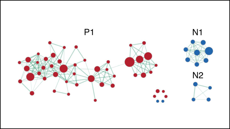 The genetic signature of memory