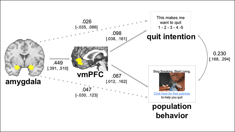 Brain Imaging Predicts Response to Public Health Campaign