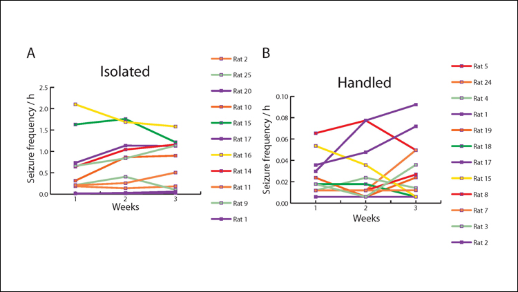 Social Isolation Stresses Rodents