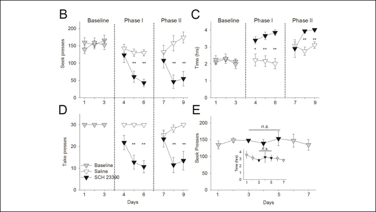 Blocking Dopamine Weakens Effects of Cocaine