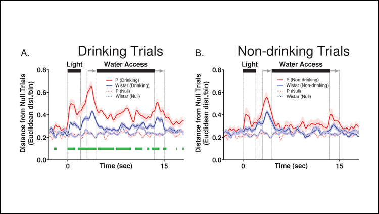 Impaired Brain Activity in Rats with Family History of Alcohol Abuse