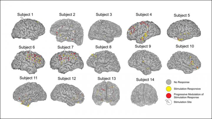 How electrical stimulation reorganizes the brain