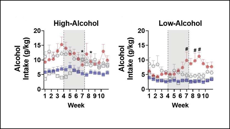 Ketamine reduces drinking in male, but not female, rats