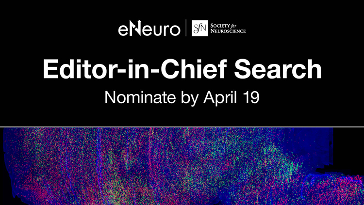eNeuro Editor-in-Chief Search