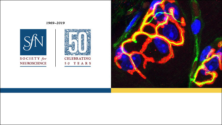 SfN 50th Anniversary Logo and generic science image