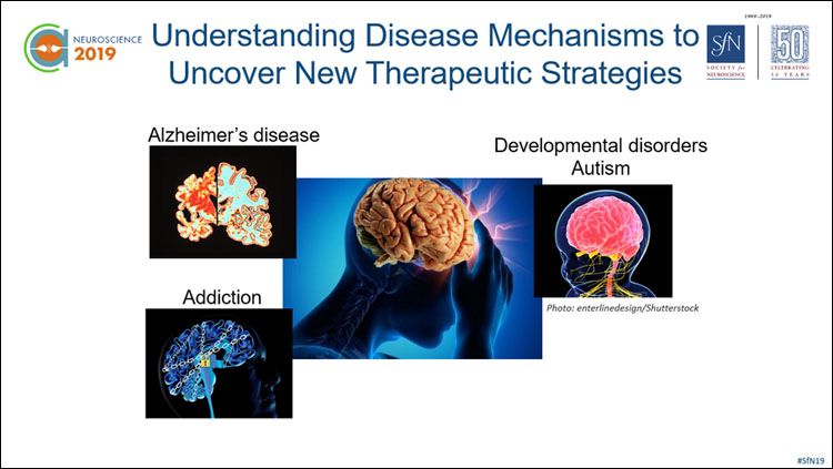 Image of a powerpoint slide titled "Understanding Disease Mechanisms to Uncover New Therapeutic Strategies" with several images of brains.